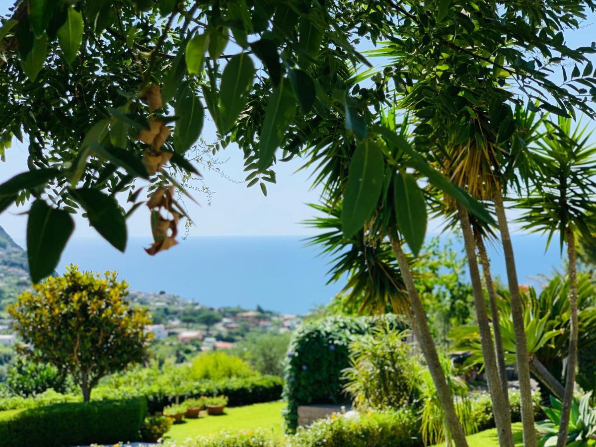 Casa Ischitana Apartamento Forio di Ischia Exterior foto