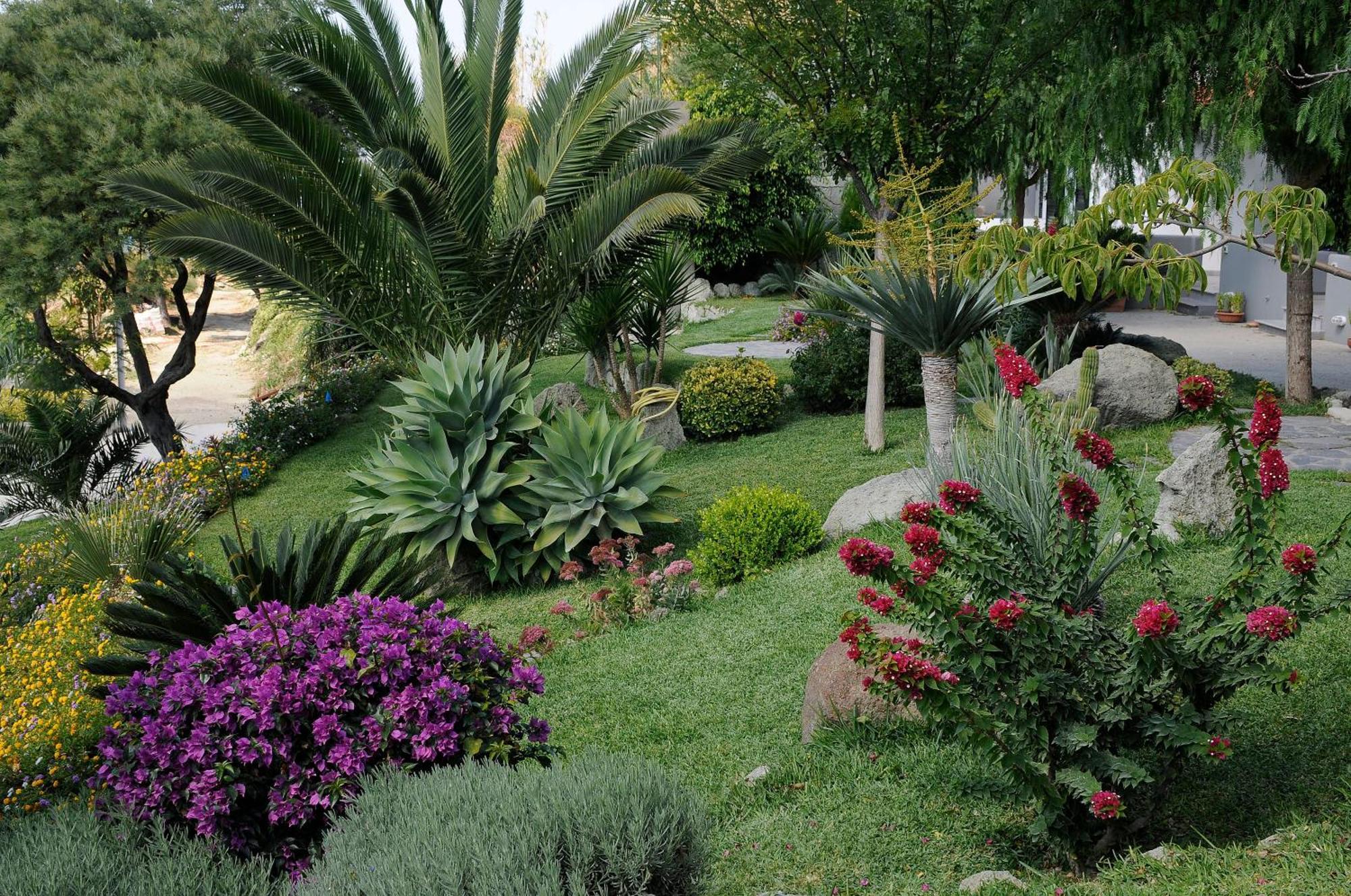 Casa Ischitana Apartamento Forio di Ischia Exterior foto