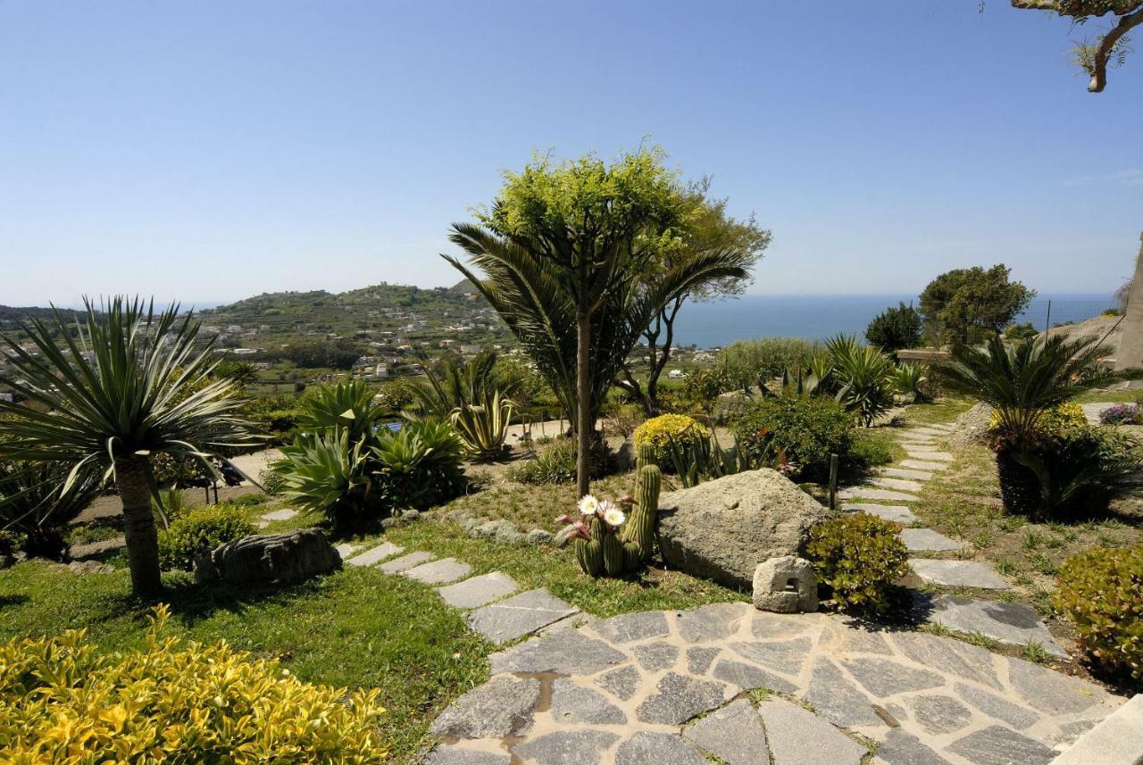 Casa Ischitana Apartamento Forio di Ischia Exterior foto