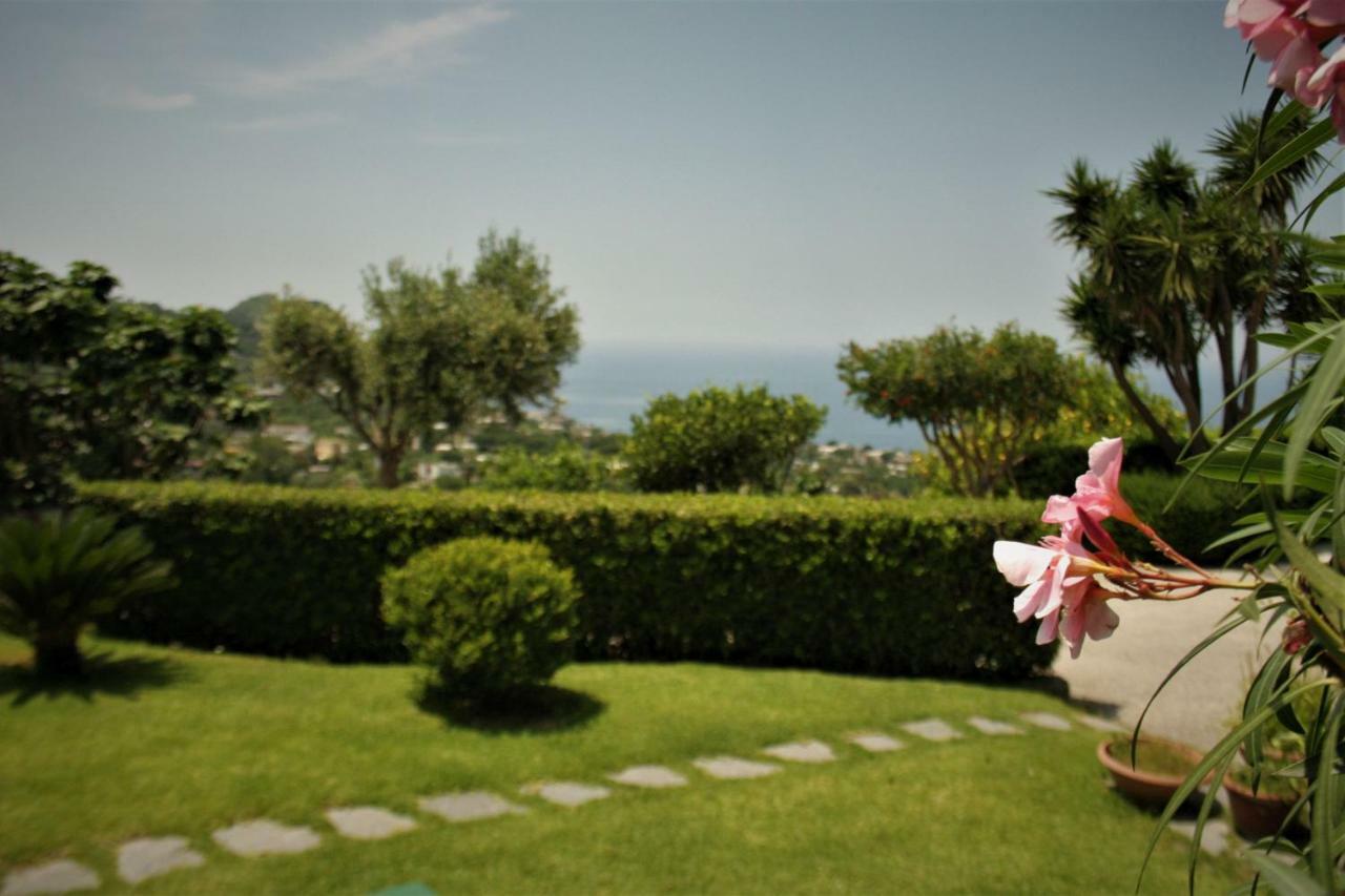 Casa Ischitana Apartamento Forio di Ischia Exterior foto